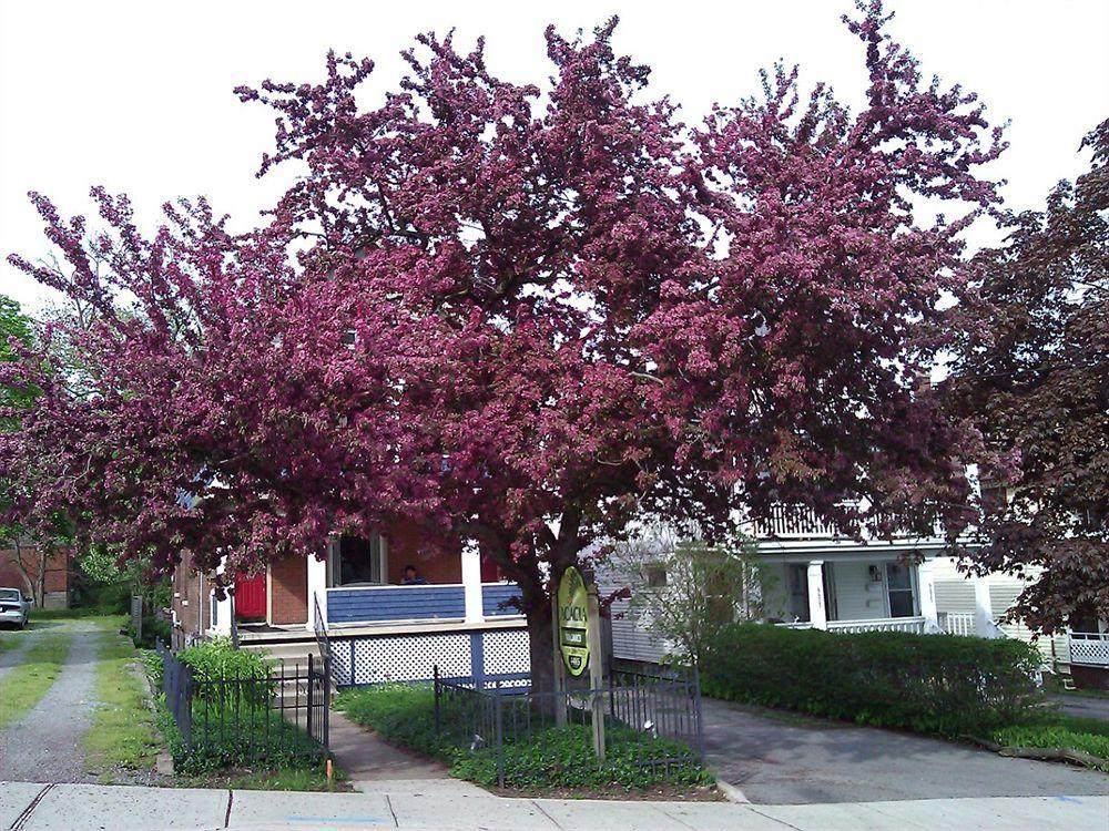 Acacia Bed & Breakfast 3* Niagara Falls